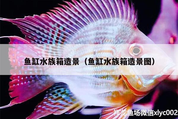 鱼缸水族箱造景（鱼缸水族箱造景图） 鱼缸/水族箱