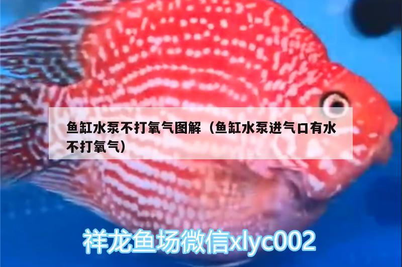 鱼缸水泵不打氧气图解（鱼缸水泵进气口有水不打氧气）