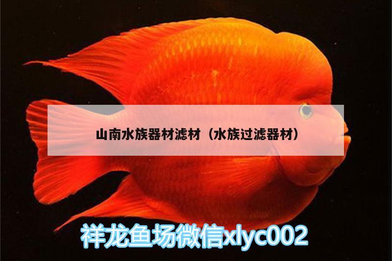 山南水族器材滤材（水族过滤器材） 眼斑鱼