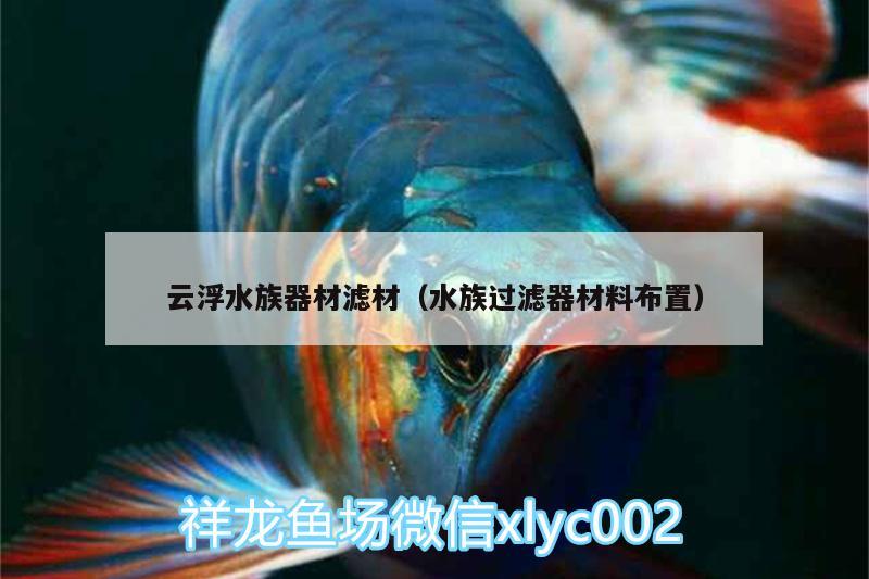 云浮水族器材滤材（水族过滤器材料布置） 水族维护服务（上门） 第1张