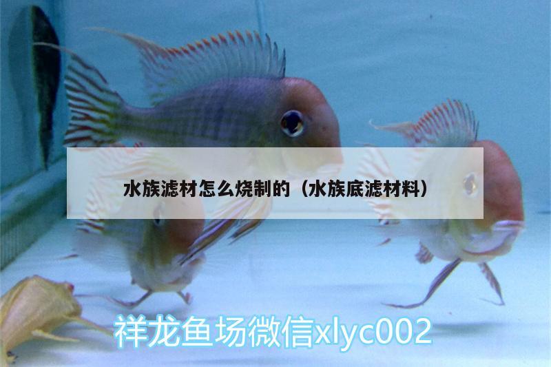 水族滤材怎么烧制的（水族底滤材料）