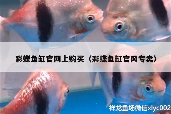 彩蝶鱼缸官网（彩蝶鱼缸官网专卖） 祥龙水族护理水