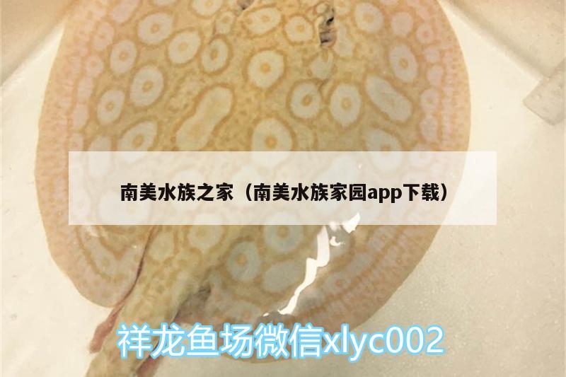 南美水族之家（南美水族家园app下载） 祥龙超血红龙鱼