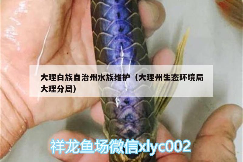 大理白族自治州水族维护（大理州生态环境局大理分局） 红龙专用鱼粮饲料