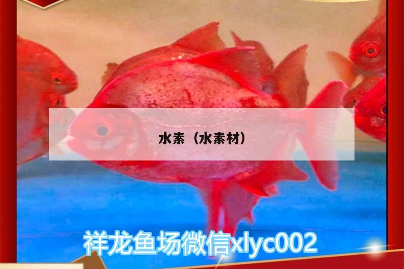 水素（水素材） 水族品牌