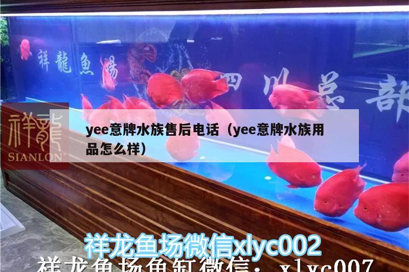 yee意牌水族售后电话（yee意牌水族用品怎么样） yee