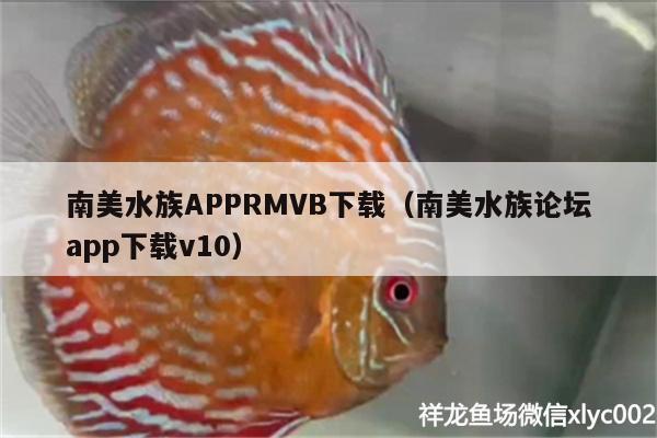 南美水族APPRMVB下载（南美水族论坛app下载v10）