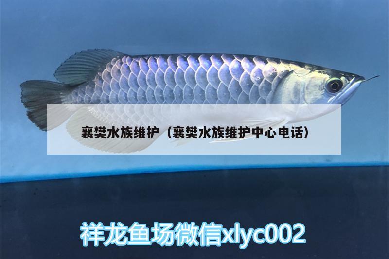 襄樊水族维护（襄樊水族维护中心电话）