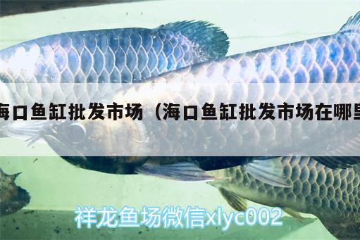 海口鱼缸批发市场（海口鱼缸批发市场在哪里） 喂食器