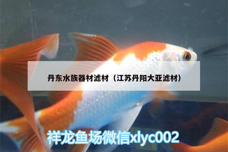 丹东水族器材滤材（江苏丹阳大亚滤材）