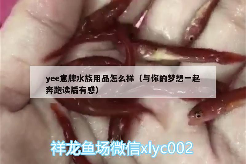 yee意牌水族用品怎么样（与你的梦想一起奔跑读后有感）