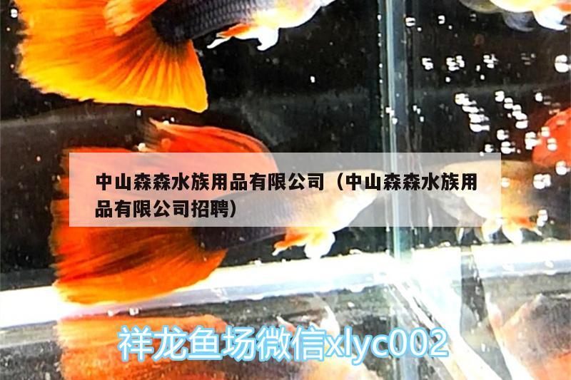 中山森森水族用品有限公司（中山森森水族用品有限公司招聘） 水族用品 第2张