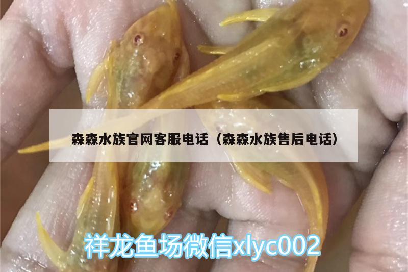 森森水族官网客服电话（森森水族售后电话）