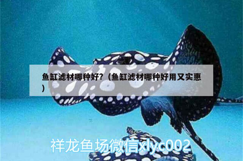 鱼缸滤材哪种好?（鱼缸滤材哪种好用又实惠） 观赏鱼百科