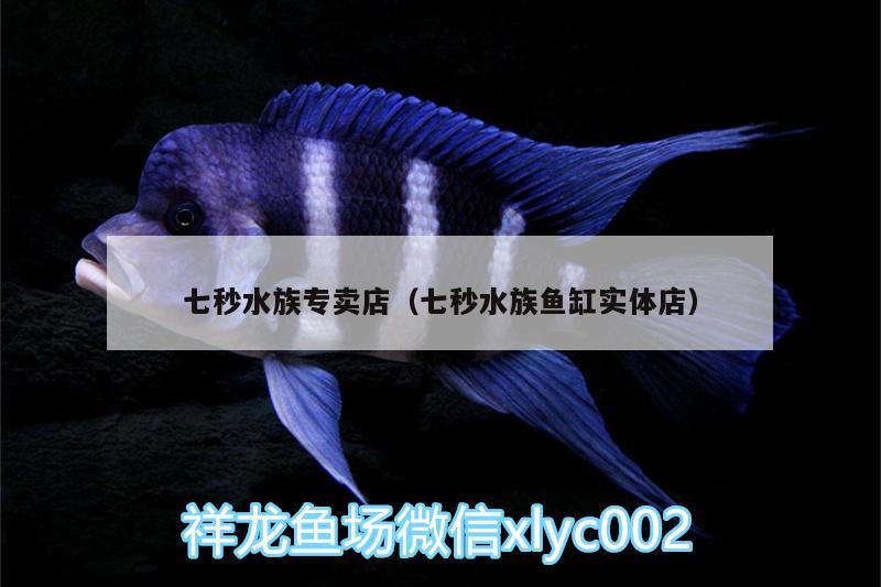 七秒水族专卖店（七秒水族鱼缸实体店） 蝴蝶鲤