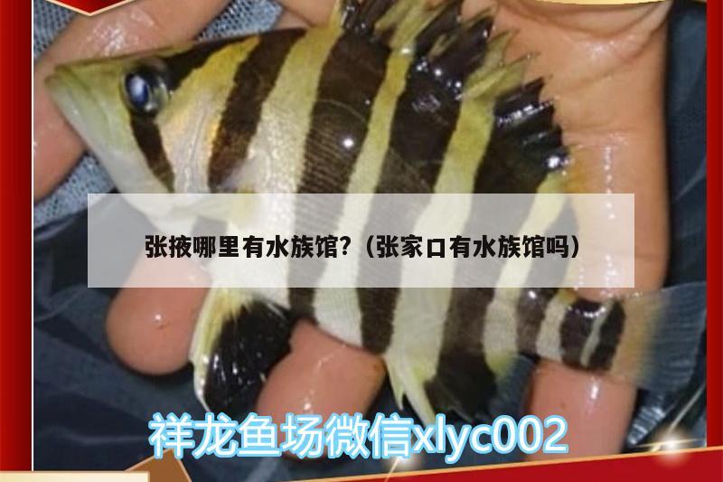 张掖哪里有水族馆?（张家口有水族馆吗）