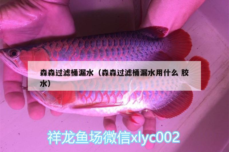 森森过滤桶漏水（森森过滤桶漏水用什么胶水） 水族维护服务（上门）