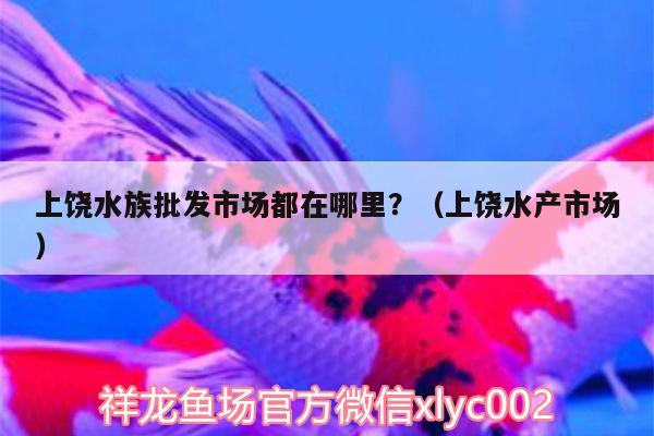 上饶水族批发市场都在哪里？（上饶水产市场） 观赏鱼水族批发市场