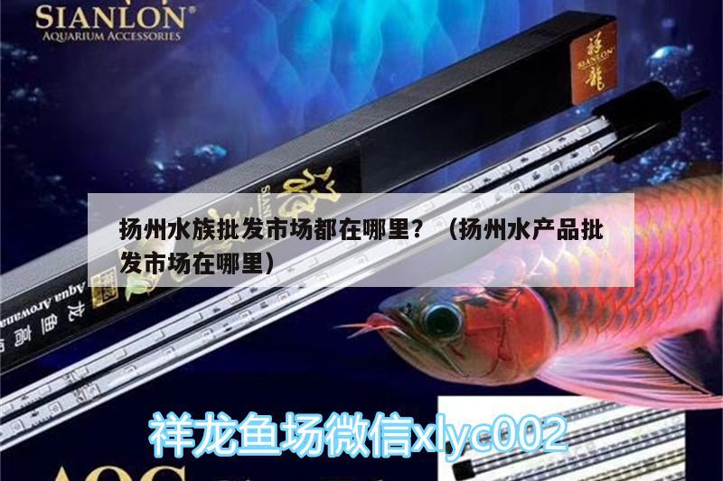 扬州水族批发市场都在哪里？（扬州水产品批发市场在哪里） 观赏鱼水族批发市场