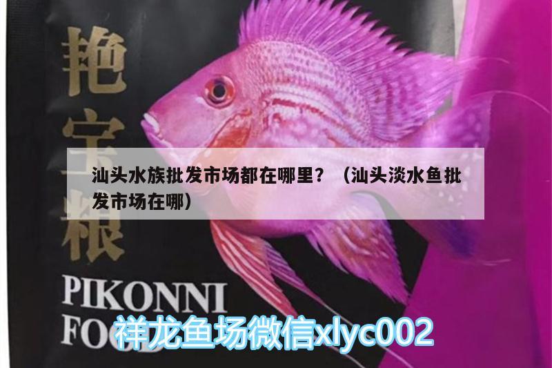 汕头水族批发市场都在哪里？（汕头淡水鱼批发市场在哪）