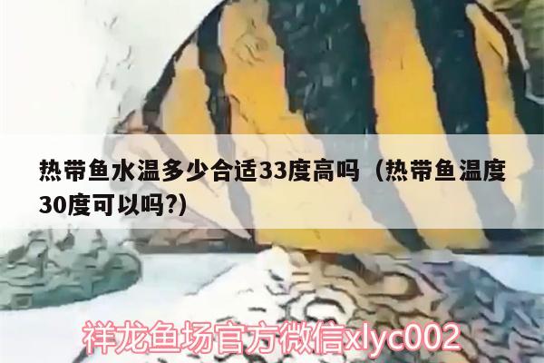 热带鱼水温多少合适33度高吗（热带鱼温度30度可以吗?）