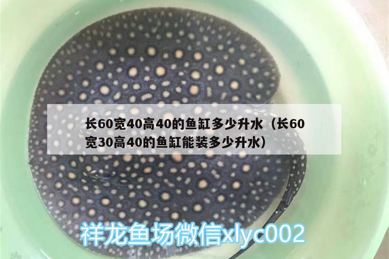 长60宽40高40的鱼缸多少升水（长60宽30高40的鱼缸能装多少升水） 赤荔凤冠鱼