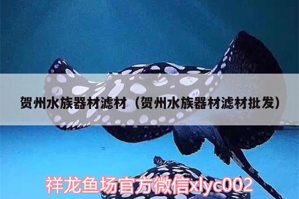 贺州水族器材滤材（贺州水族器材滤材批发）