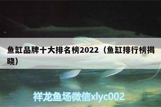 鱼缸品牌十大排名榜2022（鱼缸排行榜揭晓） 鱼缸清洁用具