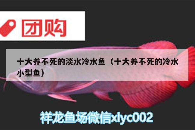 十大养不死的淡水冷水鱼（十大养不死的冷水小型鱼） 印尼虎苗 第2张