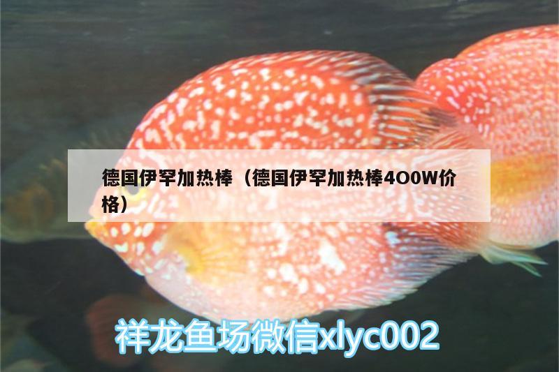 德国伊罕加热棒（德国伊罕加热棒4O0W价格） 伊罕水族