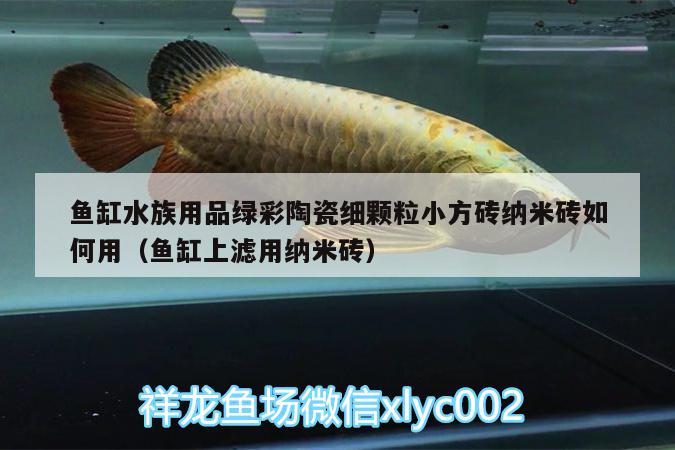 鱼缸水族用品绿彩陶瓷细颗粒小方砖纳米砖如何用（鱼缸上滤用纳米砖） 水族用品 第2张