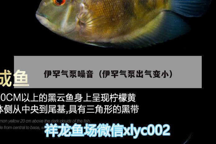 伊罕气泵噪音（伊罕气泵出气变小） 伊罕水族