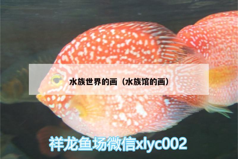 水族世界的画（水族馆的画）