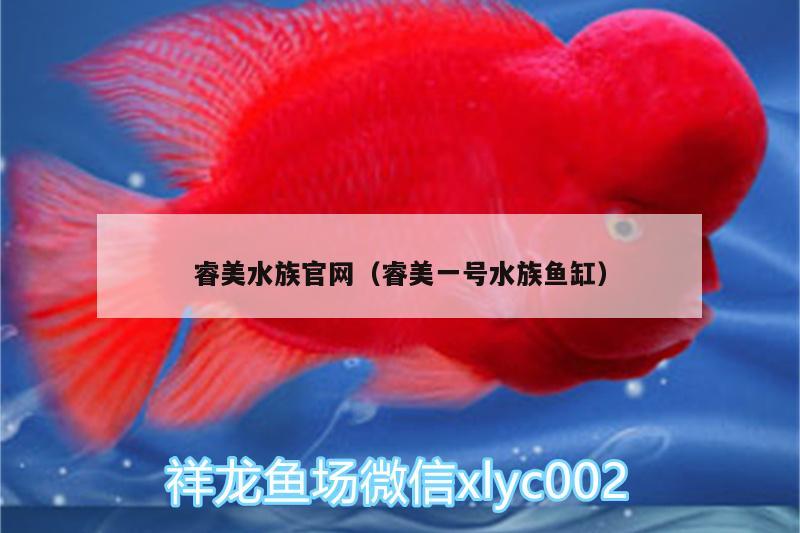 睿美水族官网（睿美一号水族鱼缸）