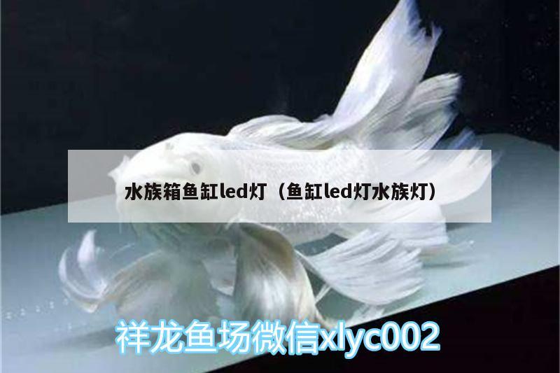 水族箱鱼缸led灯（鱼缸led灯水族灯）