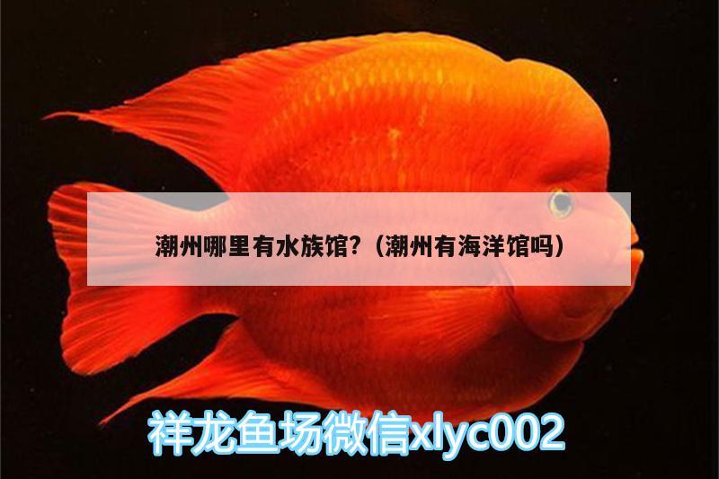 潮州哪里有水族馆?（潮州有海洋馆吗） 虎鱼百科 第2张