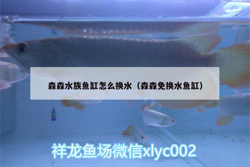 森森水族鱼缸怎么换水（森森免换水鱼缸） 观赏鱼企业目录