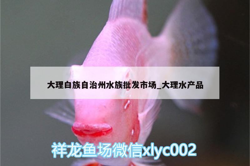 大理白族自治州水族批发市场_大理水产品 观赏鱼水族批发市场