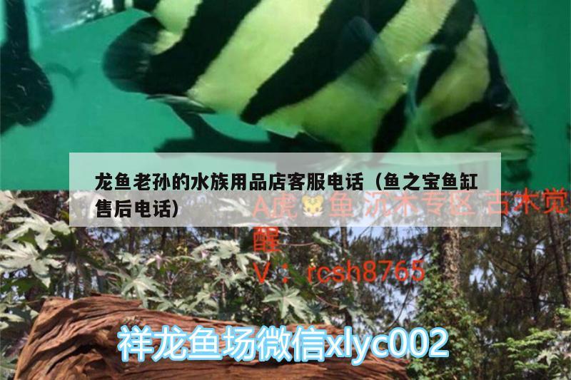 龙鱼老孙的水族用品店客服电话（鱼之宝鱼缸售后电话）