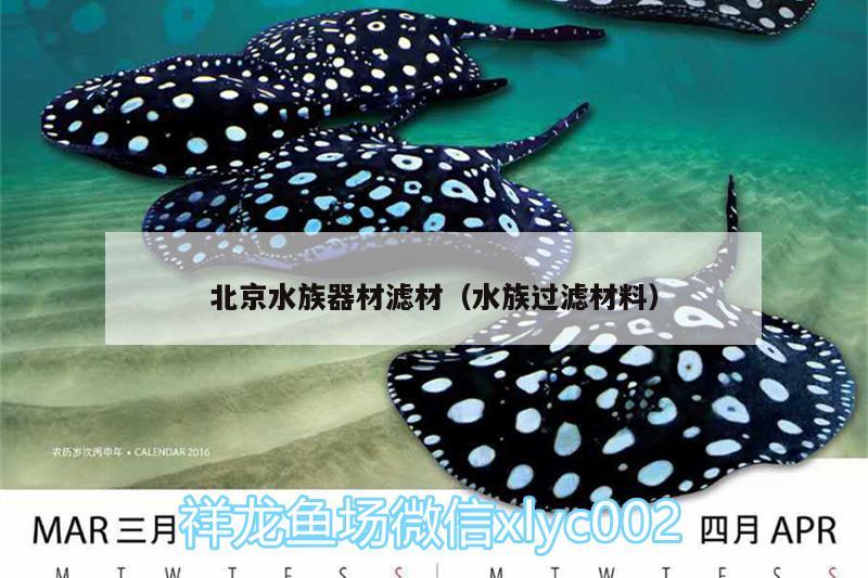 北京水族器材滤材（水族过滤材料） 大正锦鲤鱼 第2张