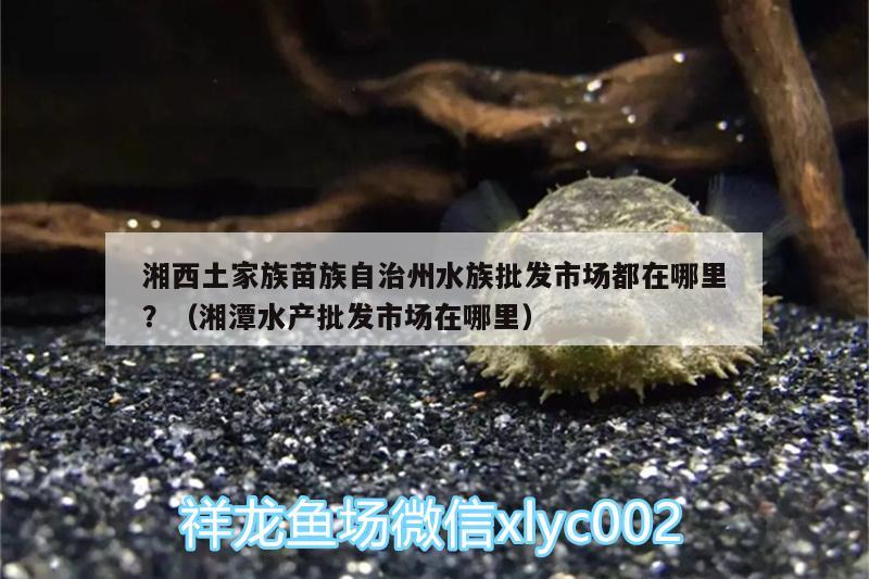 湘西土家族苗族自治州水族批发市场都在哪里？（湘潭水产批发市场在哪里）