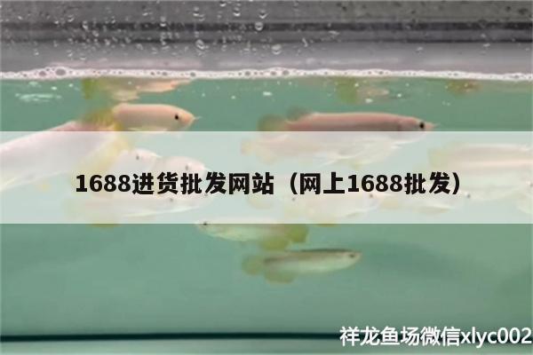 1688进货批发网站（网上1688批发）