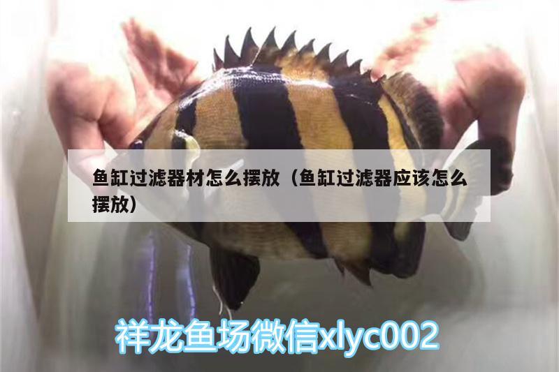 鱼缸过滤器材怎么摆放（鱼缸过滤器应该怎么摆放） 祥龙水族滤材/器材