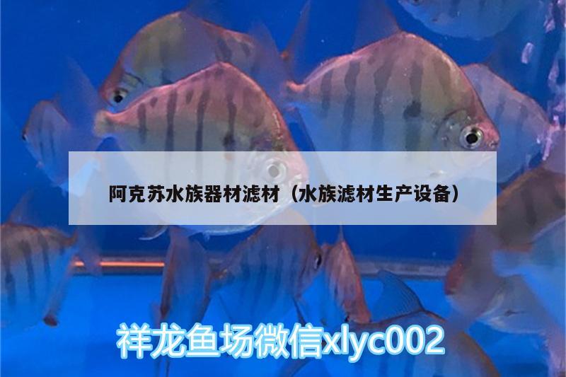 阿克苏水族器材滤材（水族滤材生产设备） 月光鸭嘴鱼苗