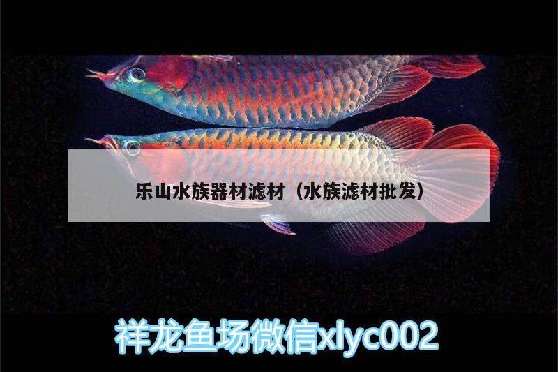 乐山水族器材滤材（水族滤材批发）