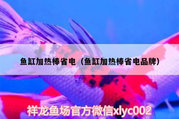 鱼缸加热棒省电（鱼缸加热棒省电品牌） 纯血皇冠黑白魟鱼