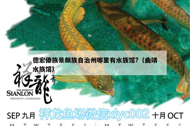 德宏傣族景颇族自治州哪里有水族馆?（曲靖水族馆）