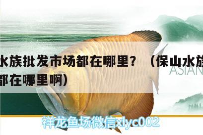 保山水族批发市场都在哪里？（保山水族批发市场都在哪里啊） 观赏鱼水族批发市场