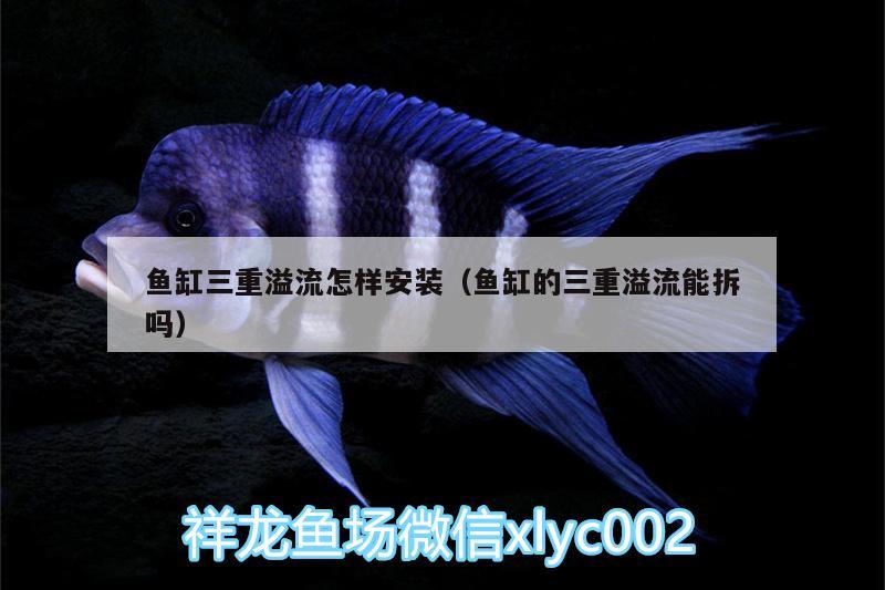 鱼缸三重溢流怎样安装（鱼缸的三重溢流能拆吗） 鱼缸/水族箱