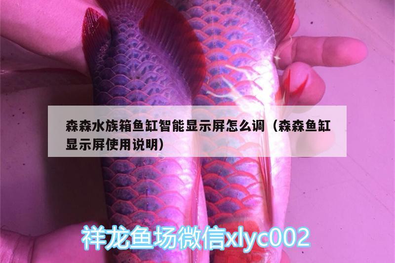 森森水族箱鱼缸智能显示屏怎么调（森森鱼缸显示屏使用说明） 鱼缸/水族箱